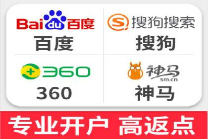大型企业SEM外包实战案例